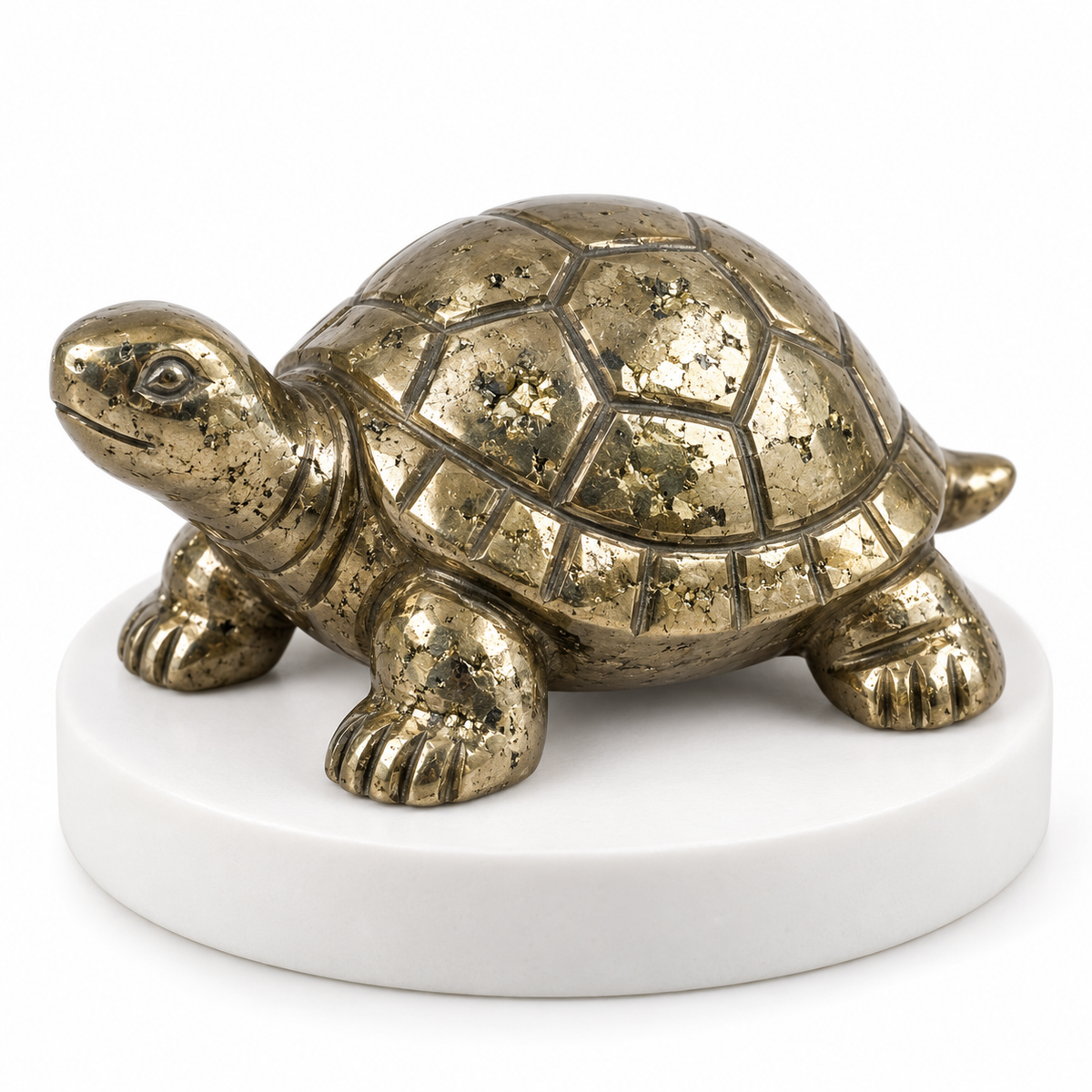 Dhan Raksha Pyrite Tortoise