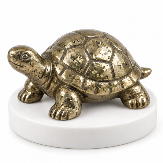Dhan Raksha Pyrite Tortoise
